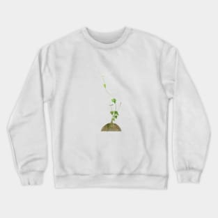 zen green climbing  leaf Crewneck Sweatshirt